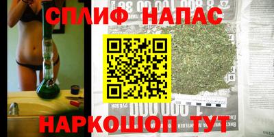 сатива Бугуруслан